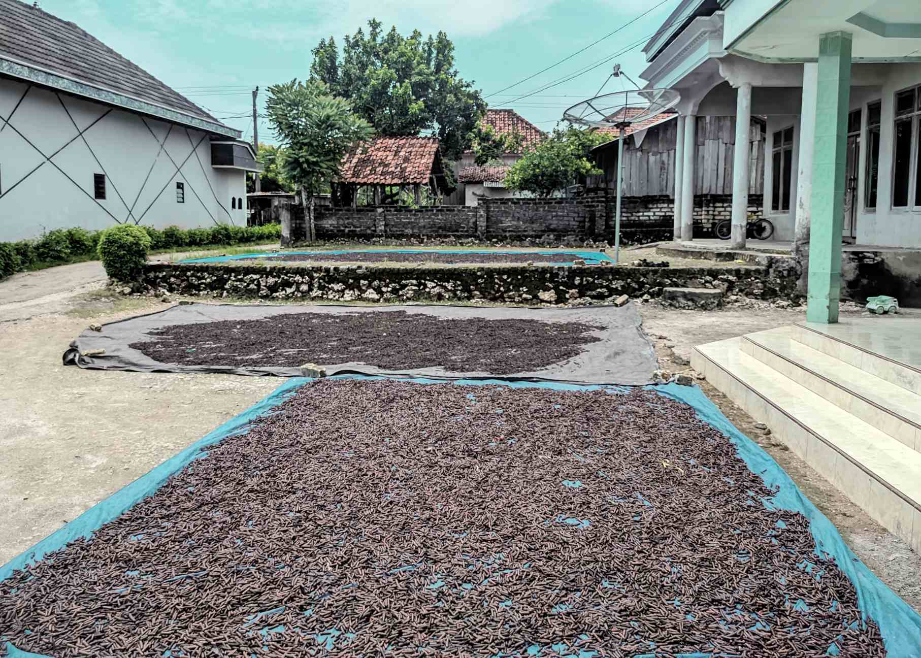 Bullenk Indonesian Trade product 15